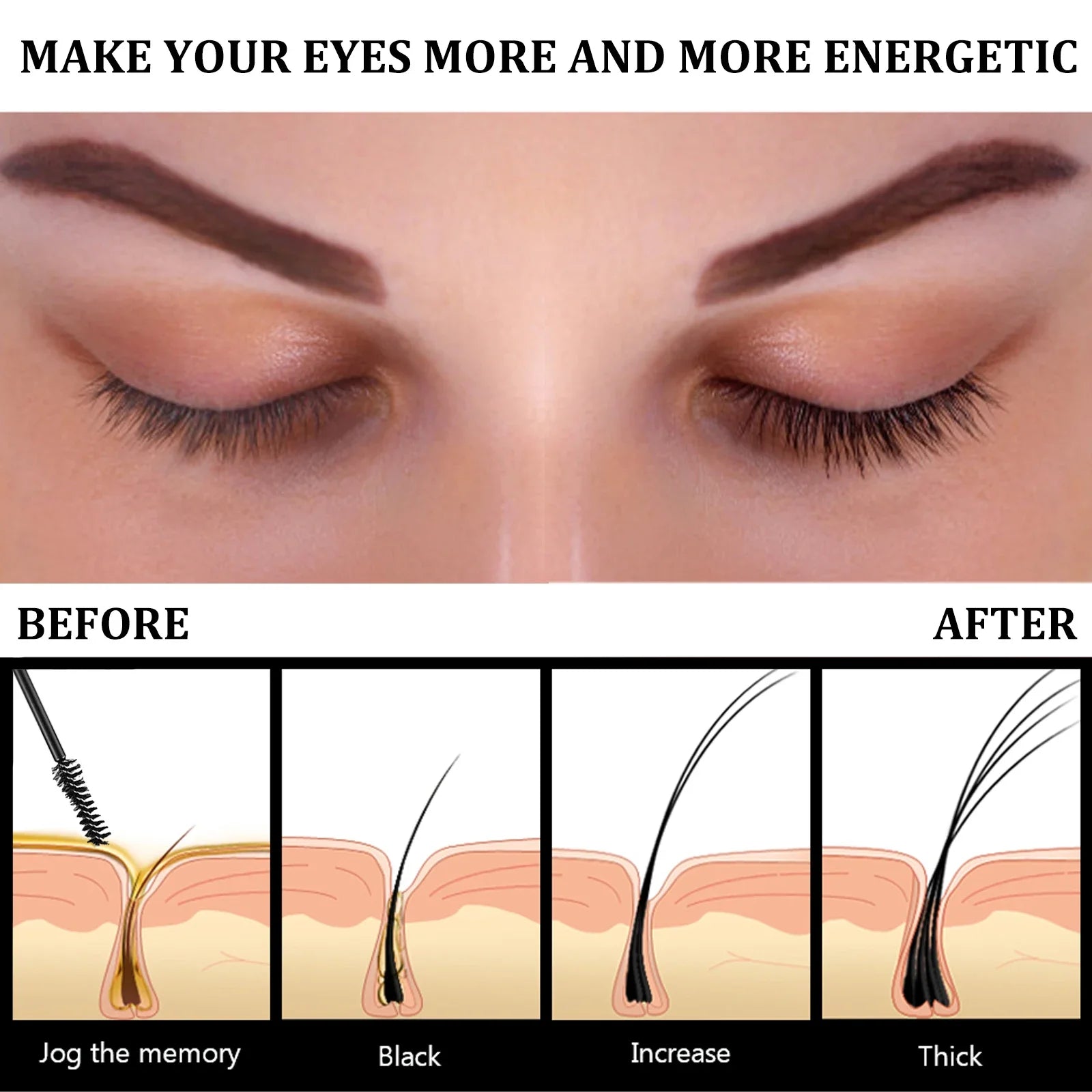 Eyebrows Natural Thick Slender Curl Curl Moist Natural Castor